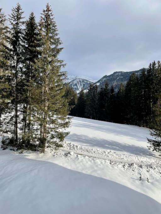 Alpenurlaub II Wohnung Mit Traumausblick Bad Mitterndorf Esterno foto